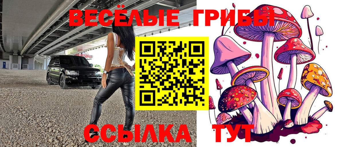 Отрадное  хочу наркоту  Вход с VPN  Псилоцибиновые грибы мицелий 