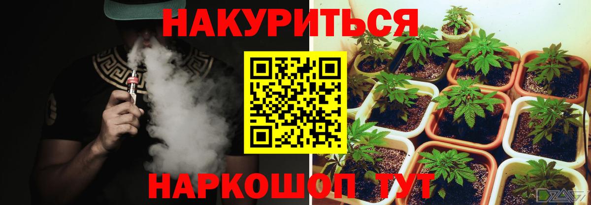 Бошки Шишки семена Отрадное